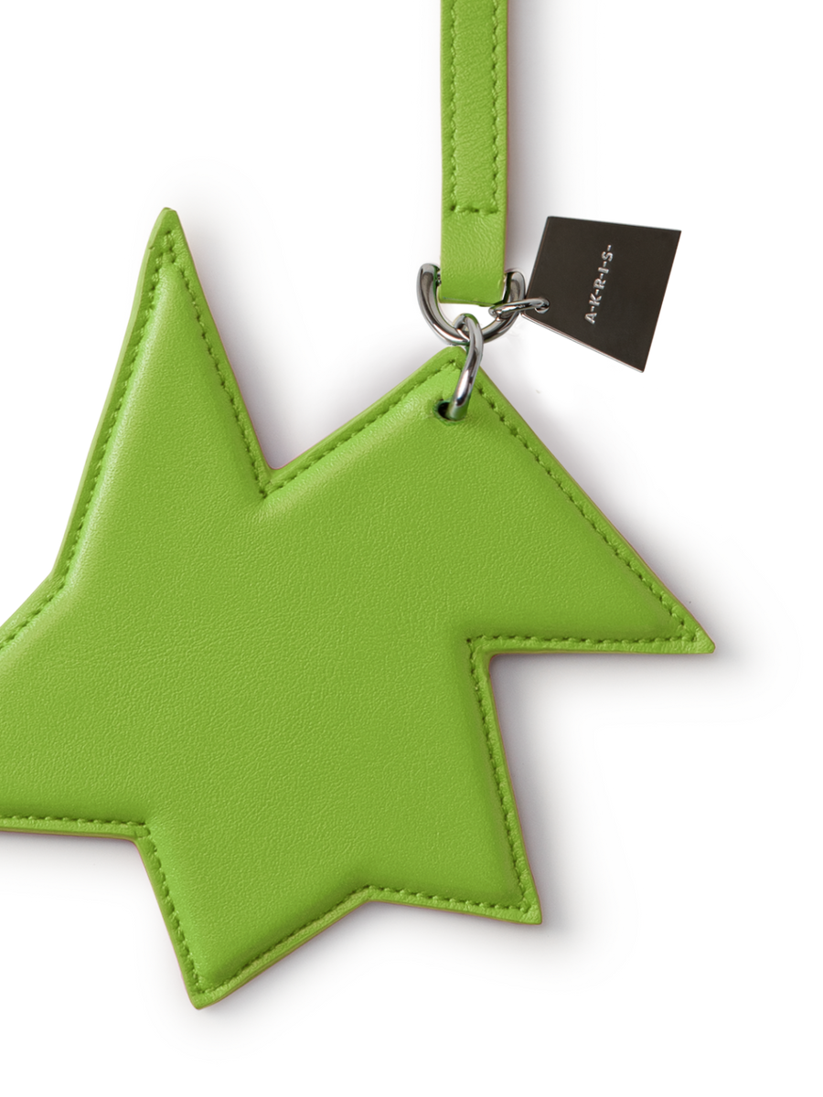 ハリックァ　アレキサンドライトのチャーム アレキサンドライト | Hariqua-パワーストーンジュエリー-