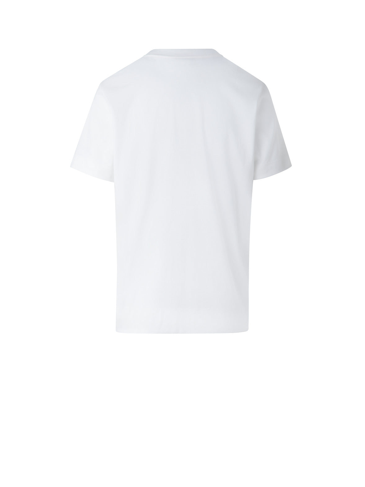 コットンジャージー ・Tシャツ