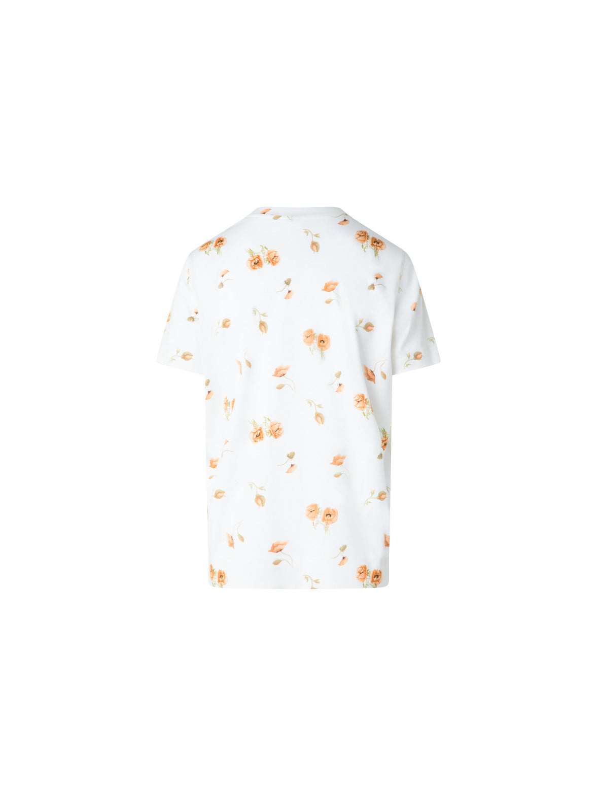 コットンジャージー ・Tシャツ